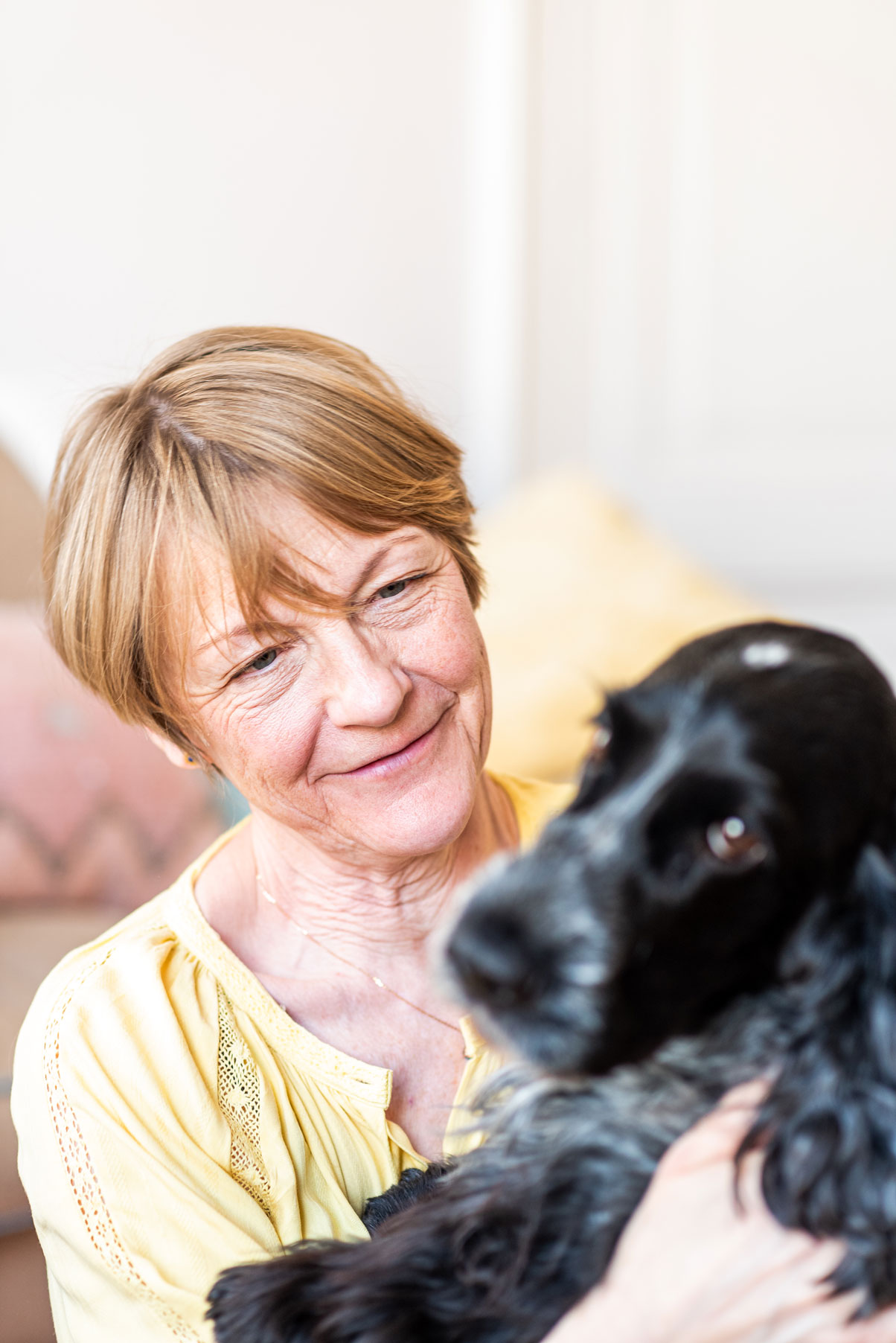 Entrepreneur working at her desk with her dog – personal brand photos in Haarlem