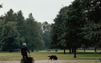 The best spots for family photos in Haarlem (autumn edition)