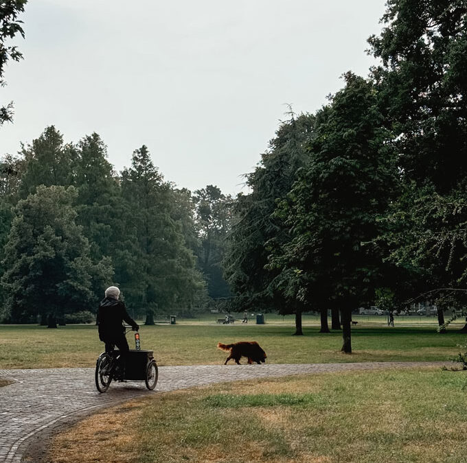 The best spots for family photos in Haarlem (autumn edition)